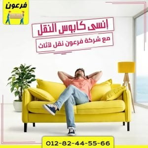 شركات نقل اثاث بحدائق الاهرام
